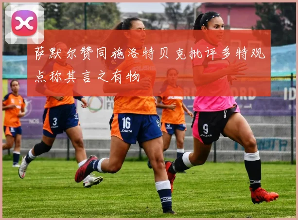 萨默尔赞同施洛特贝克批评多特观点称其言之有物