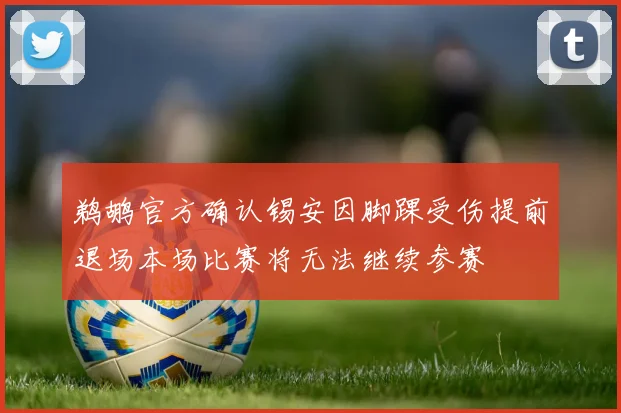 鹈鹕官方确认锡安因脚踝受伤提前退场本场比赛将无法继续参赛