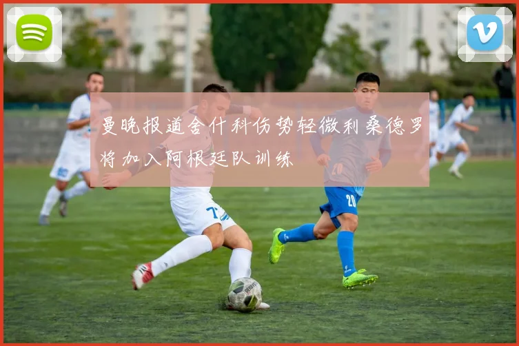 曼晚报道舍什科伤势轻微利桑德罗将加入阿根廷队训练