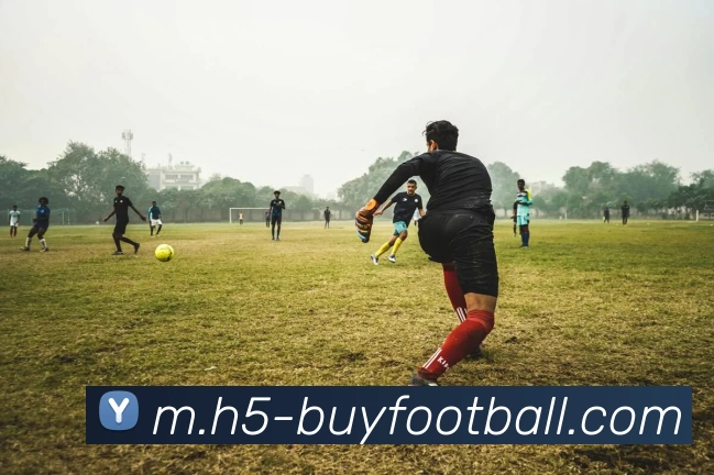 多媒体互动体验